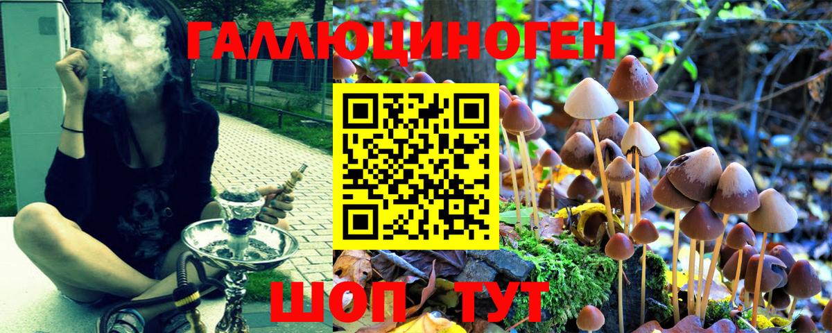 Псилоцибиновые грибы MAGIC MUSHROOMS  Вход с VPN  Учалы  Галлюциногенные грибы мицелий 
